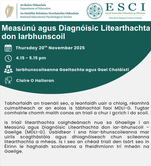 measunu agus diagnoisic litearthachta don iarbhunscoil v1